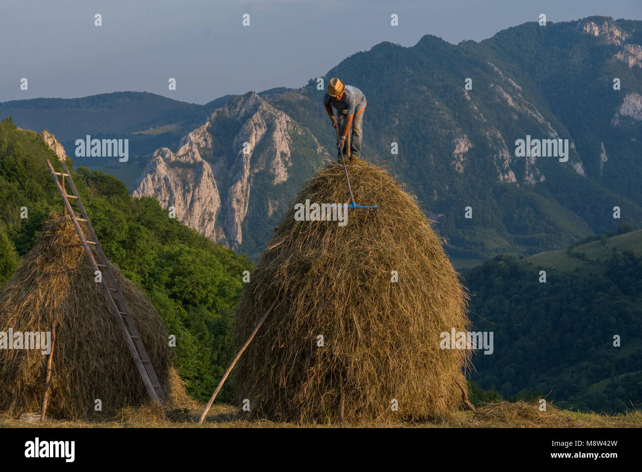 Making A Haystack Traditional haymaking hi-res stock photography and images - Alamy