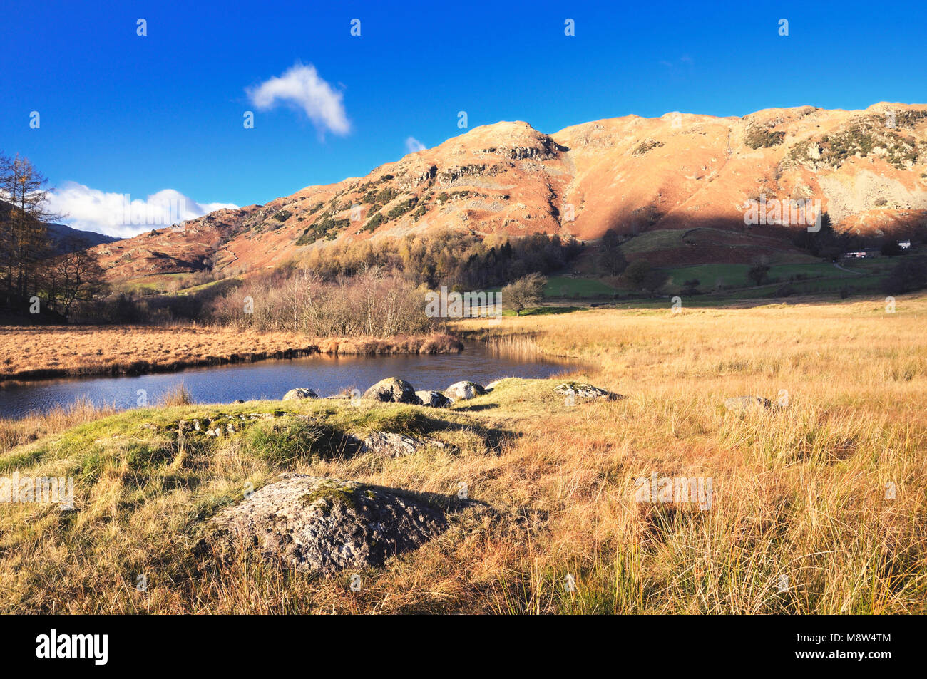 The River Brathay in the Little Langdale valley leading to Lingmoor Fell seen on a crisp autumnal afternoon.  Lake District National Park, UK. Stock Photo