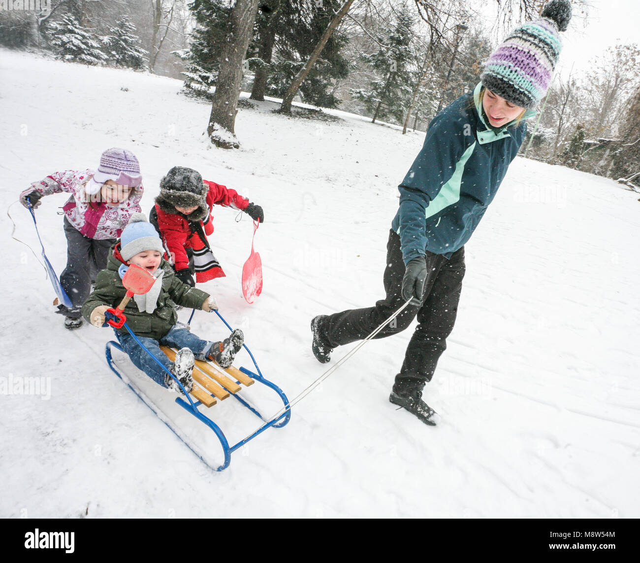 Mother is playing with kids in the snow with sled in cold winter day. Stock Photo