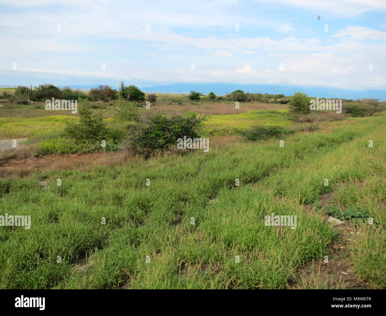 National Park Isla de Salamanca, Barranquilla, Colombia Stock Photo