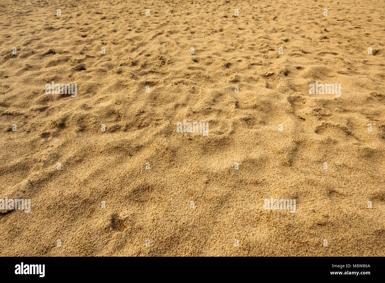 Footprints in the wet beach sand, diminishing perspective background Stock Photo