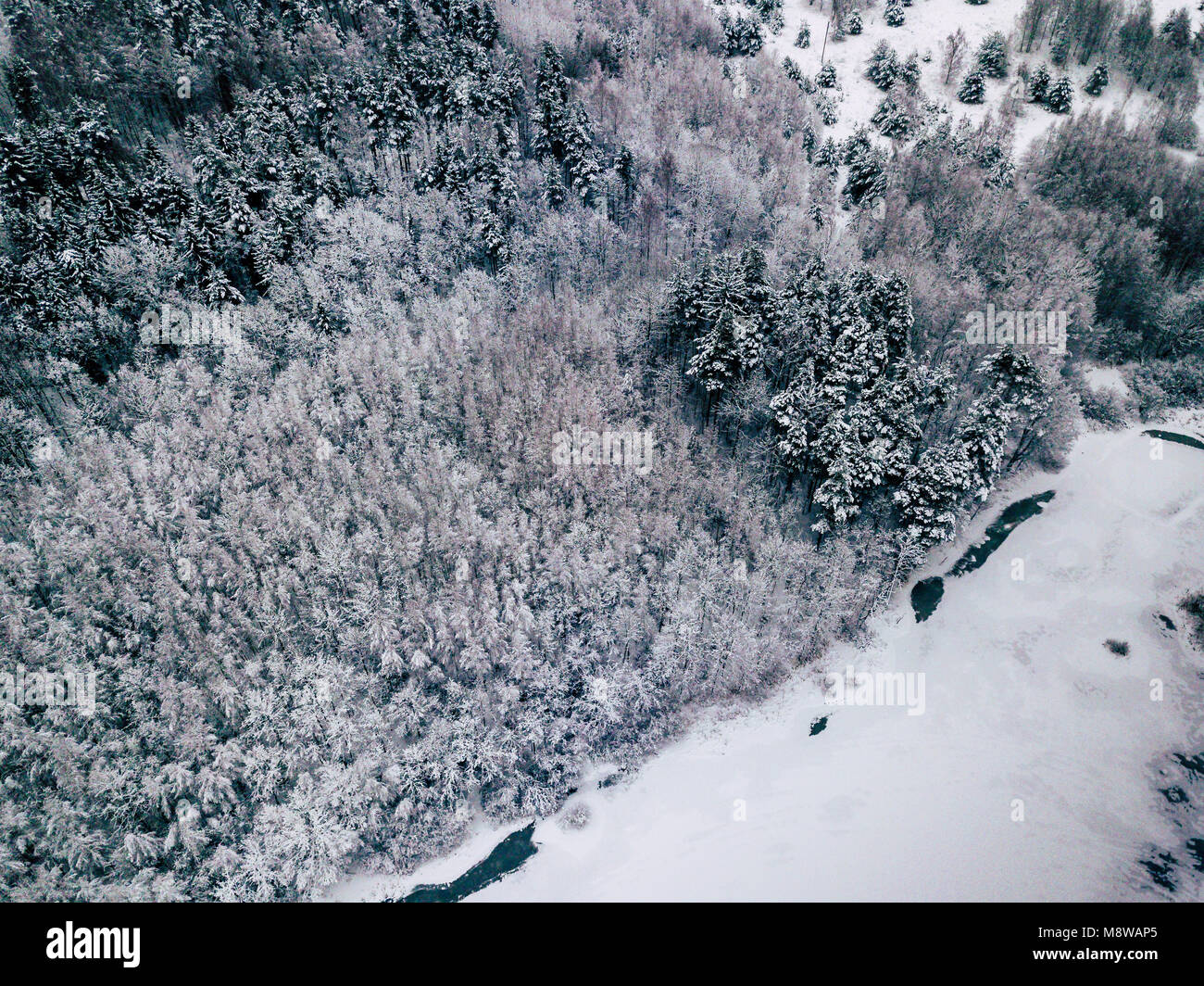 Aerial Photography of a Bright Forest and a Frozen Lake in a Foreground ...