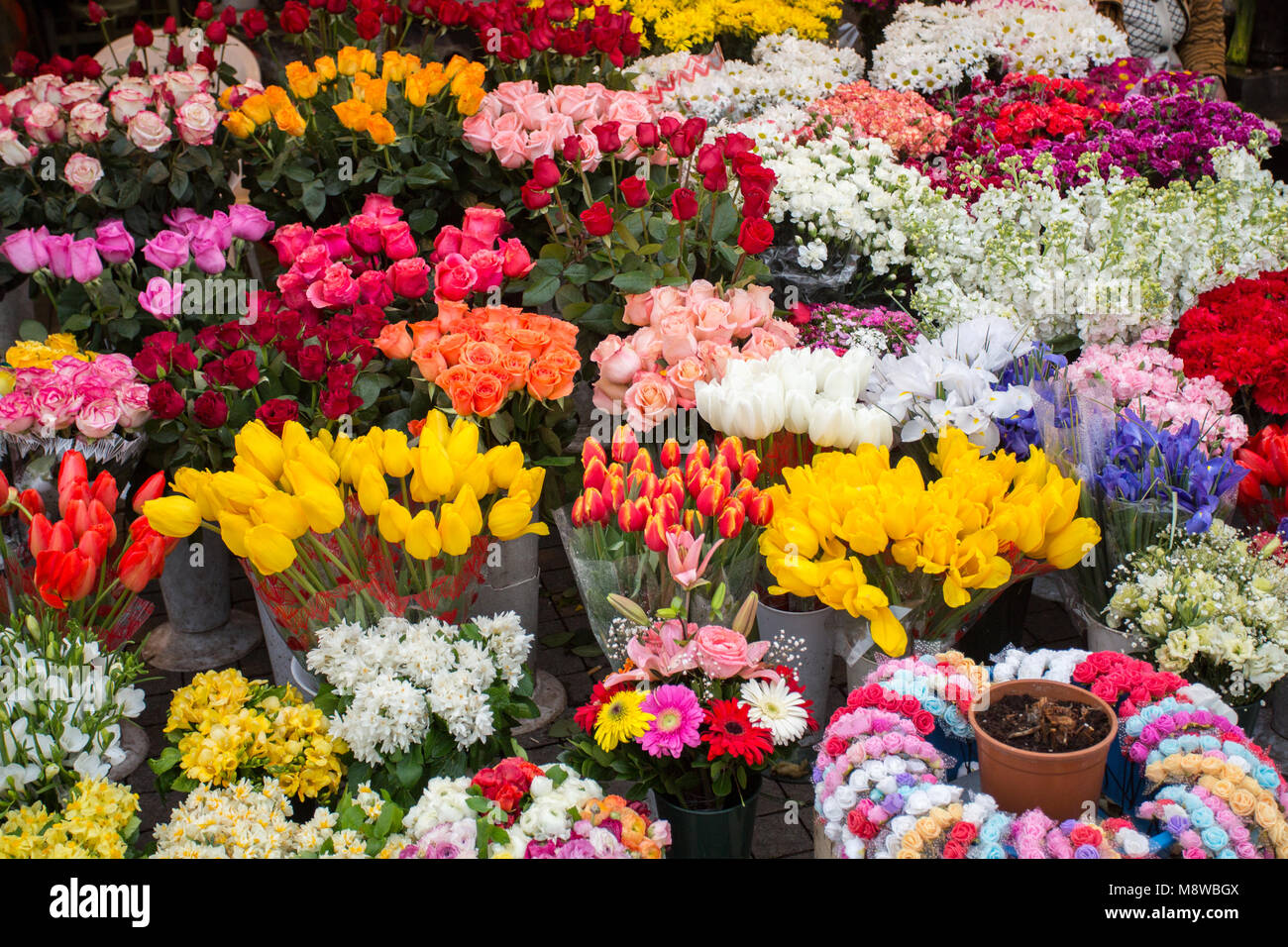 Flowers for Sale Stock Photo Alamy