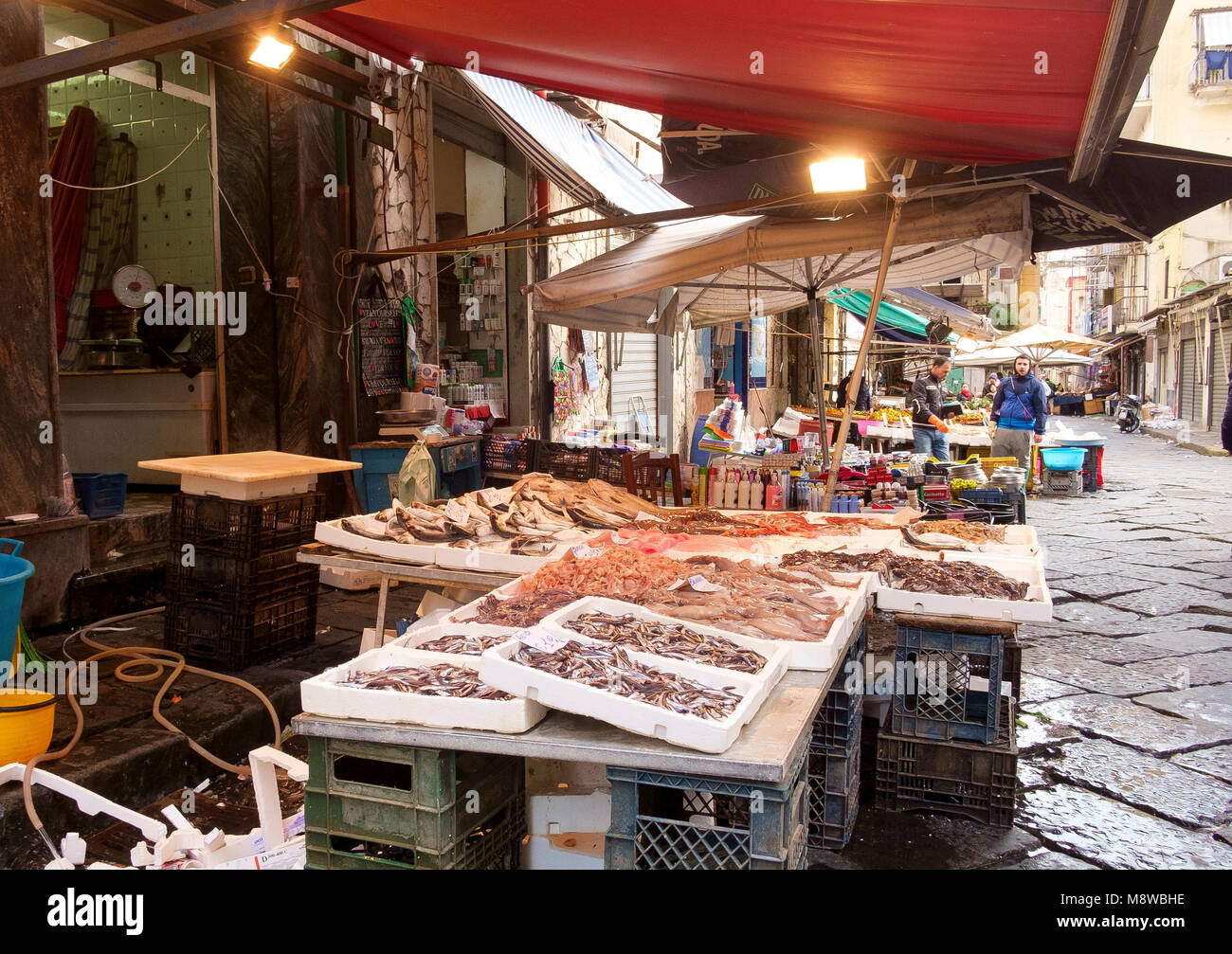 Fish for sale on Via Sopramuro - the food market streets near Porta Nolana, Naples Stock Photo