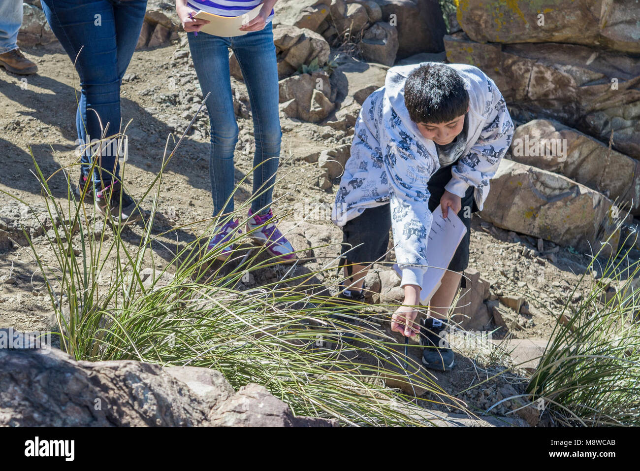 Tracing native rock painting art Stock Photo Alamy