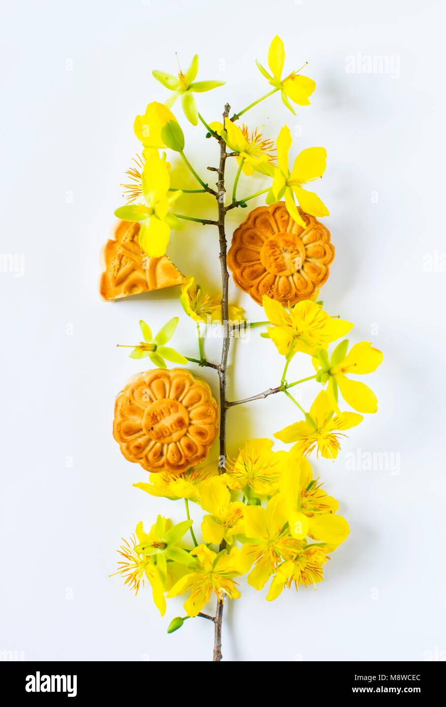 Mooncake and apricot blossom, food for Chinese mid autumn festival. Isolated on white background Stock Photo