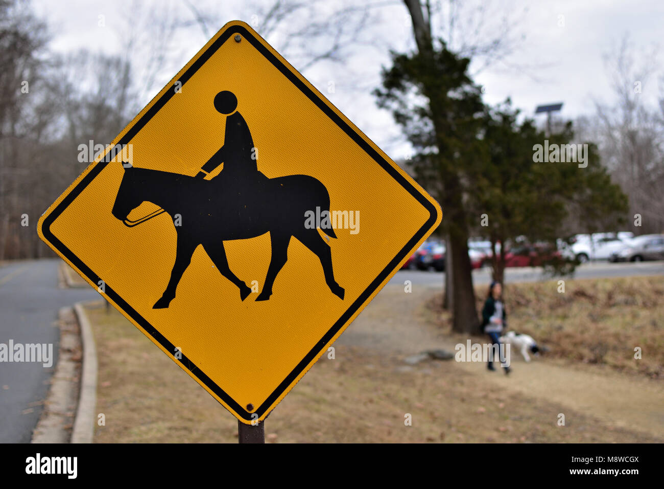 Careful, equestrian crossing ahead! Stock Photo Alamy