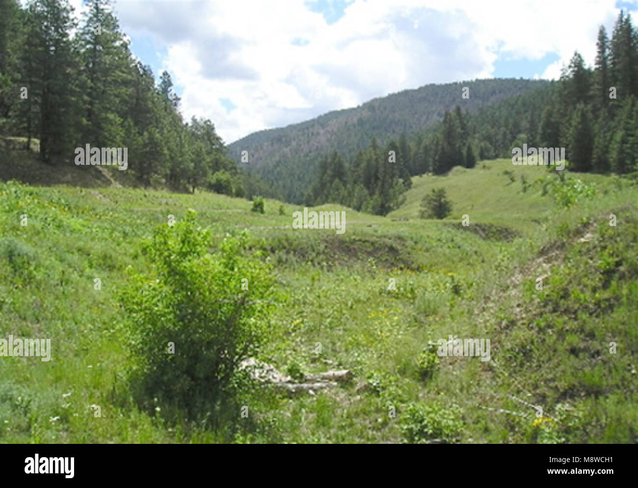 Rio Penasco Stock Photo Alamy