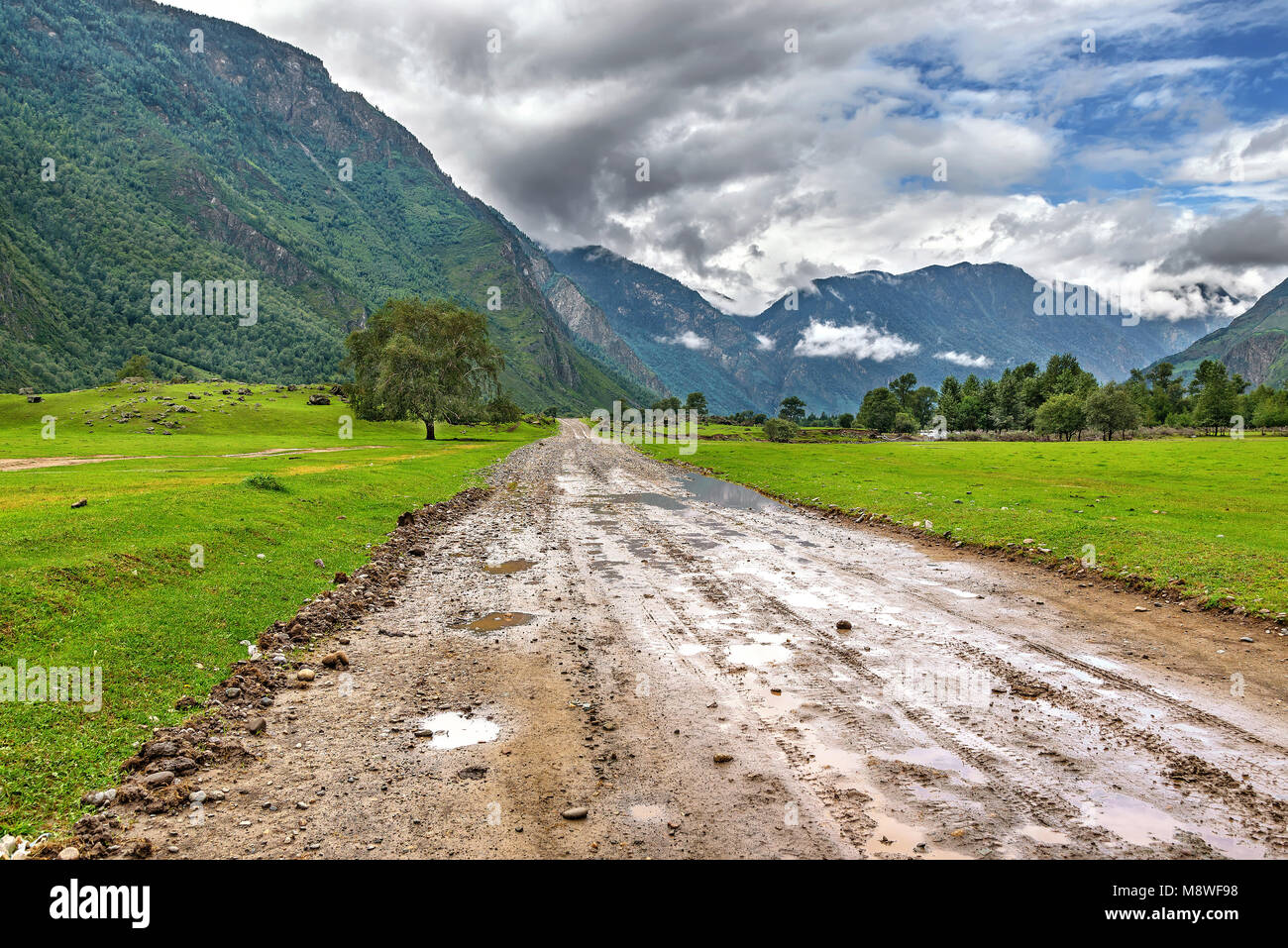 Wet dirt road and tree in the valley against the backdrop of mountains ...