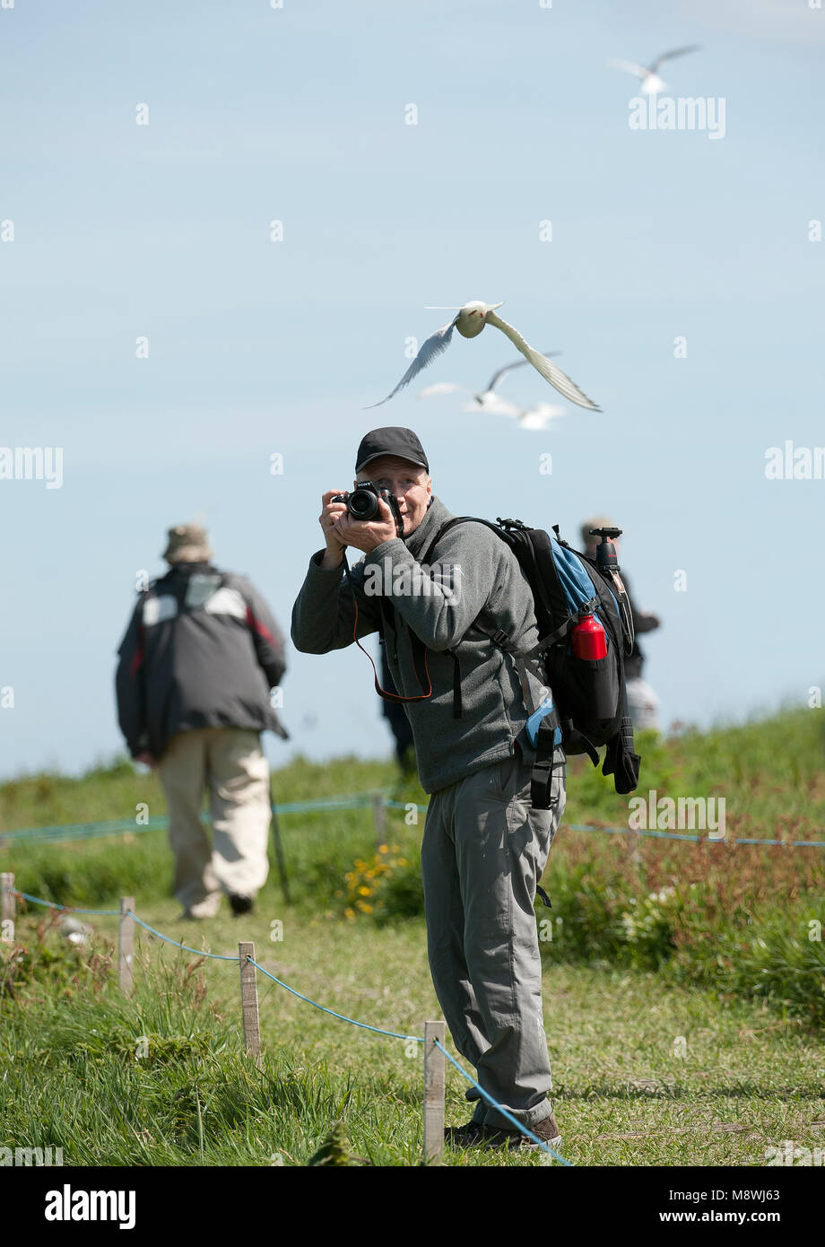 Vogelfotograaf, Bird photographer Stock Photo