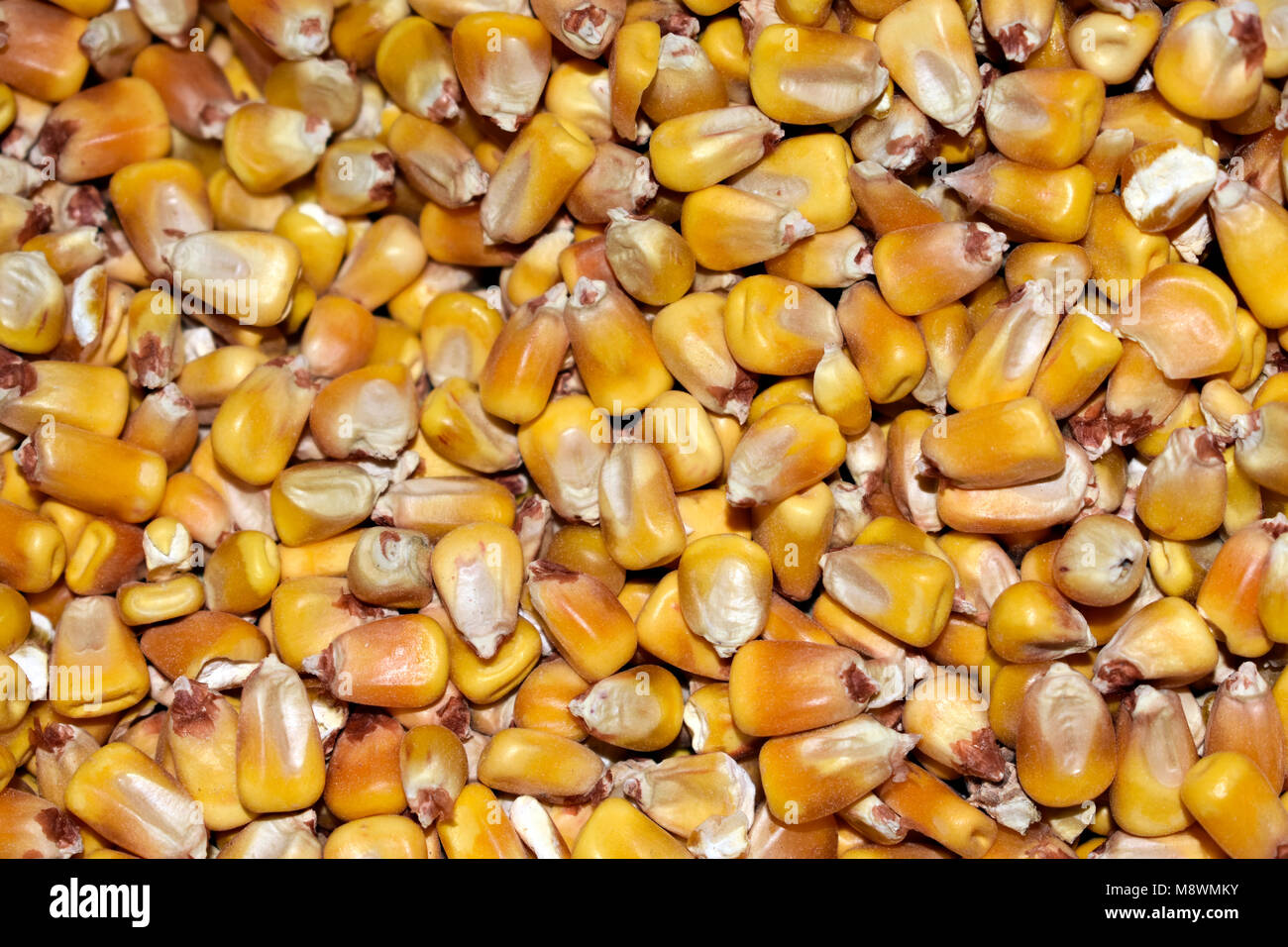 High resolution wallpaper hi-res stock photography and images - Alamy