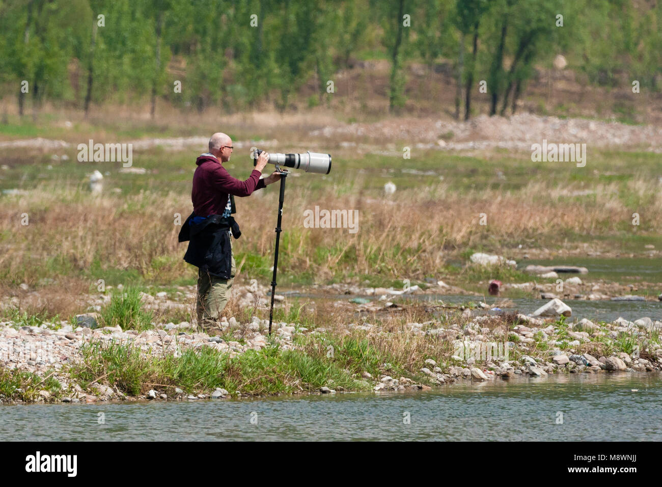 Mannelijke fotograaf met telelens in natuurgebied; Male photographer with zoomlens in nature area Stock Photo