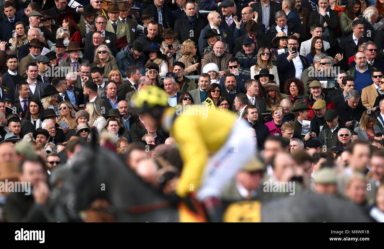 Cheltenham gold cup crowd view hi-res stock photography and images - Alamy