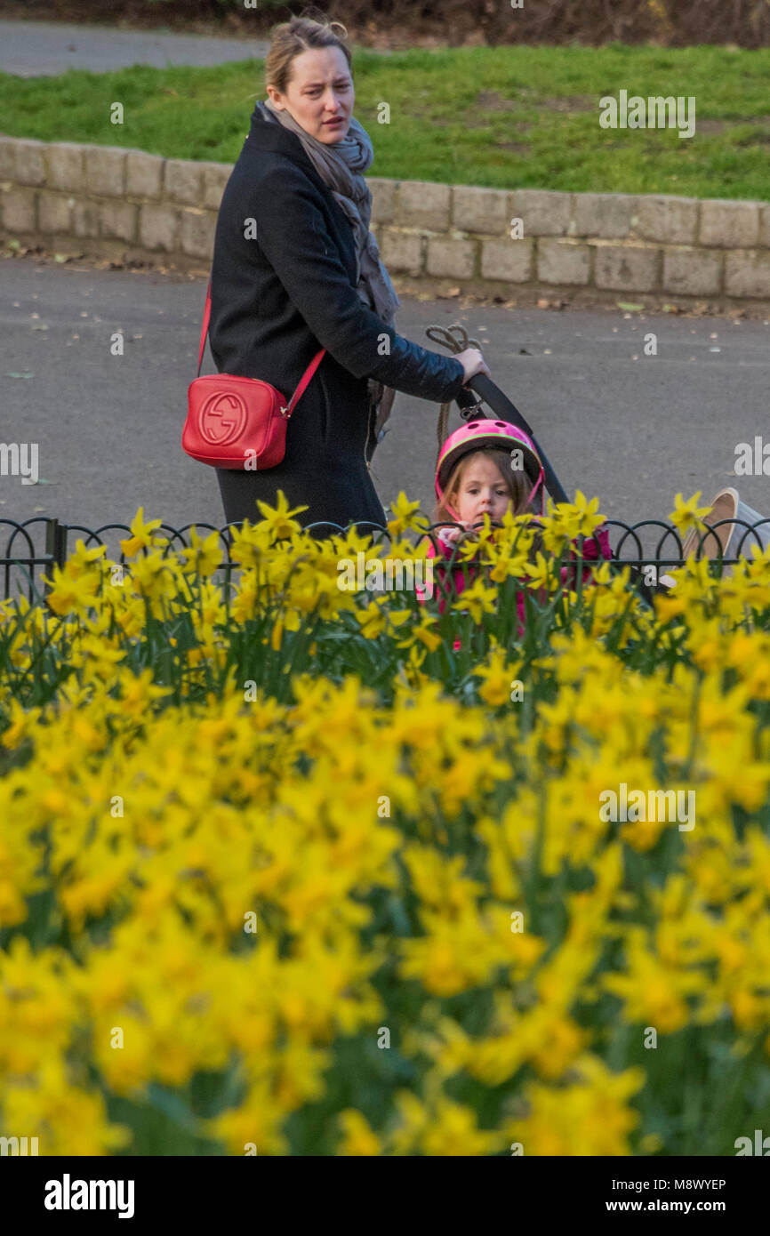 Battersea Park, London. 20th Mar, 2018. UK Weather The daffodils are out in Battersea Park as
