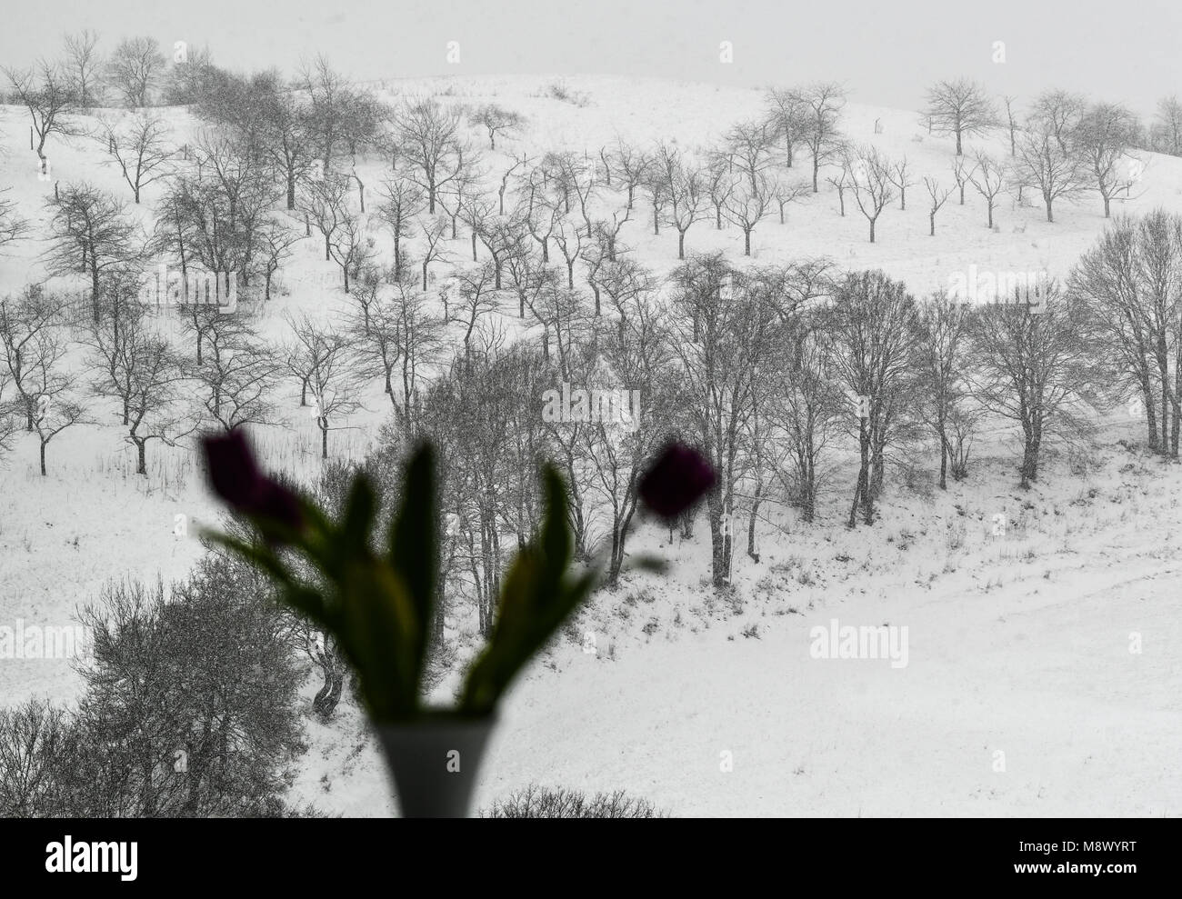 20 March 2018, Germany, Seitenroda: The landscape around Leuchtenburg near Kahla is covered in snow. After heavy snowfall Thuringia is experiencing winterly temperatures. Photo: Jens Kalaene/dpa Stock Photo