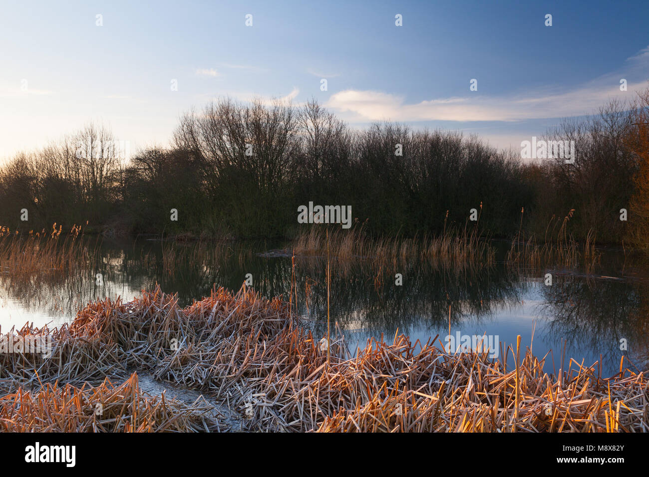 Barton-upon-Humber, UK. 21st March, 2018. UK Weather: A calm and bright, but cold, morning at a Lincolnshire Wildlife Trust Nature Reserve in Barton-upon-Humber, North Lincolnshire, UK. 21st March 2018. Credit: LEE BEEL/Alamy Live News Stock Photo