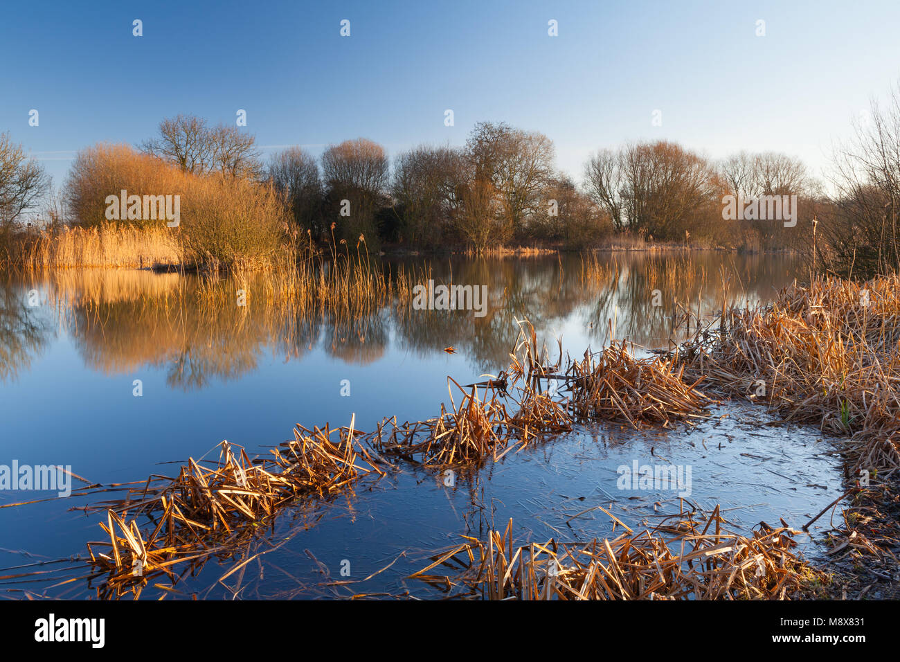 Barton-upon-Humber, UK. 21st March, 2018. UK Weather: A calm and bright, but cold, morning at a Lincolnshire Wildlife Trust Nature Reserve in Barton-upon-Humber, North Lincolnshire, UK. 21st March 2018. Credit: LEE BEEL/Alamy Live News Stock Photo