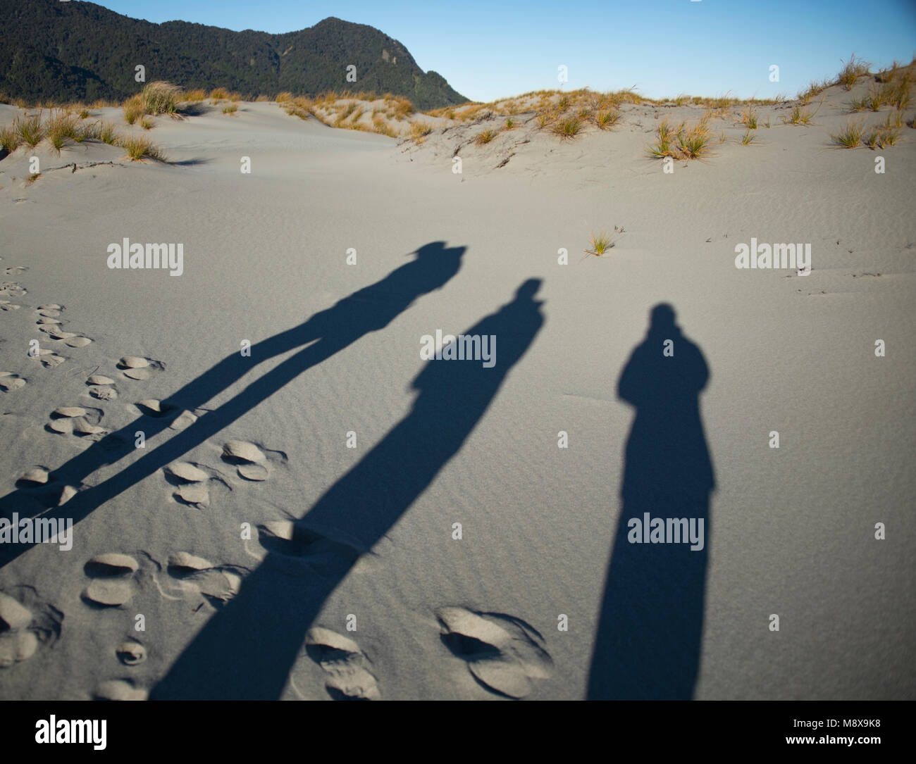 Tourists shadows on the beach at Martins Bay, Fiordland, New Zealand Stock Photo