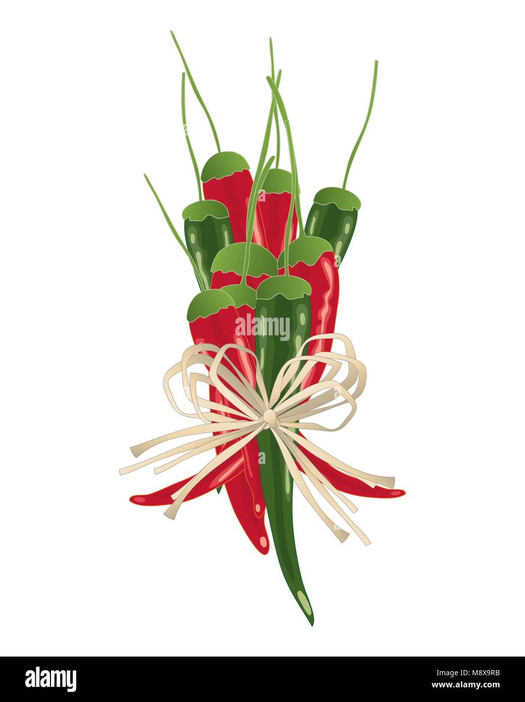 a vector illustration in eps 10 format of a rustic bundle of red and green chilli peppers with string bow on a white background Stock Vector