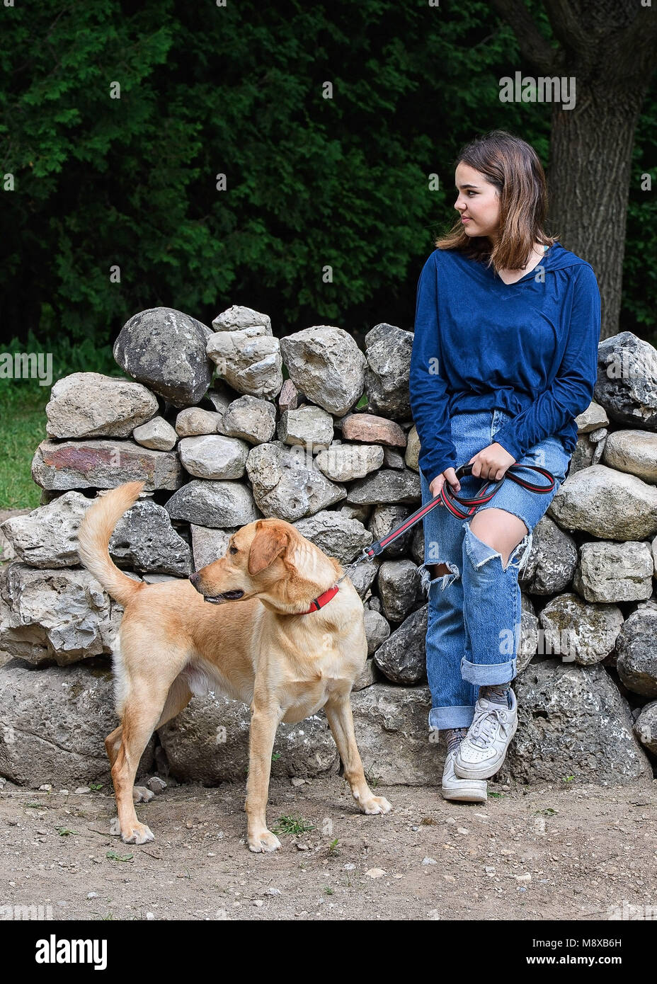 Teenage girl with her dog looking away Stock Photo - Alamy
