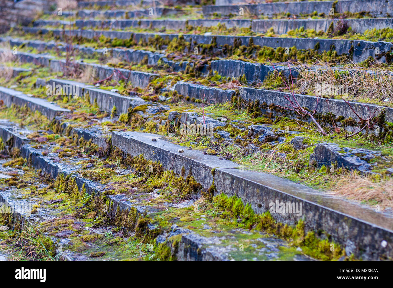 Step Moss Stock Photos & Step Moss Stock Images - Alamy