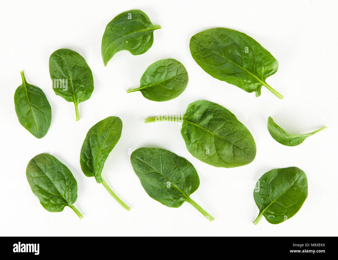 Baby spinach leaves Stock Photo - Alamy