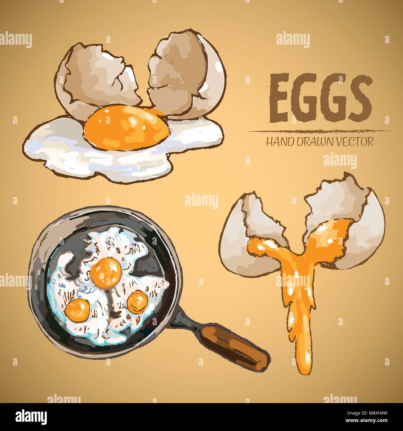 Digital vector detailed line art cooking eggs in frying pan hand drawn