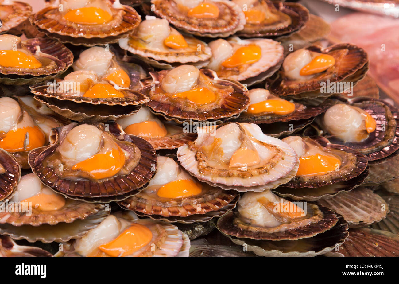 Paris fish market seafood market hi-res stock photography and images ...