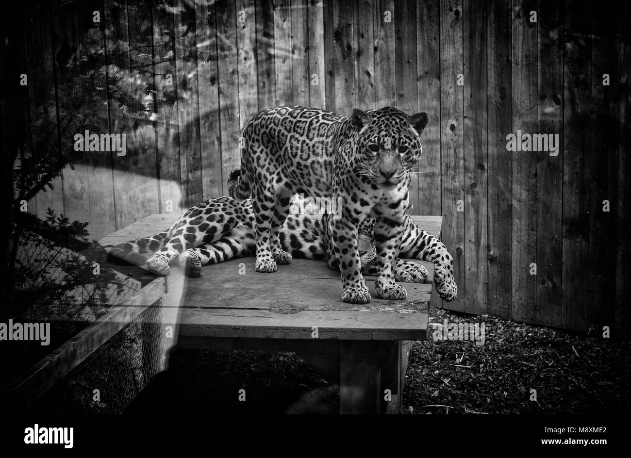 The Lake District Stock Photo - Alamy