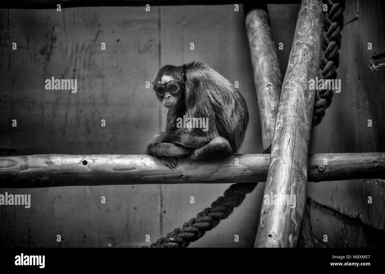 The Lake District Stock Photo - Alamy