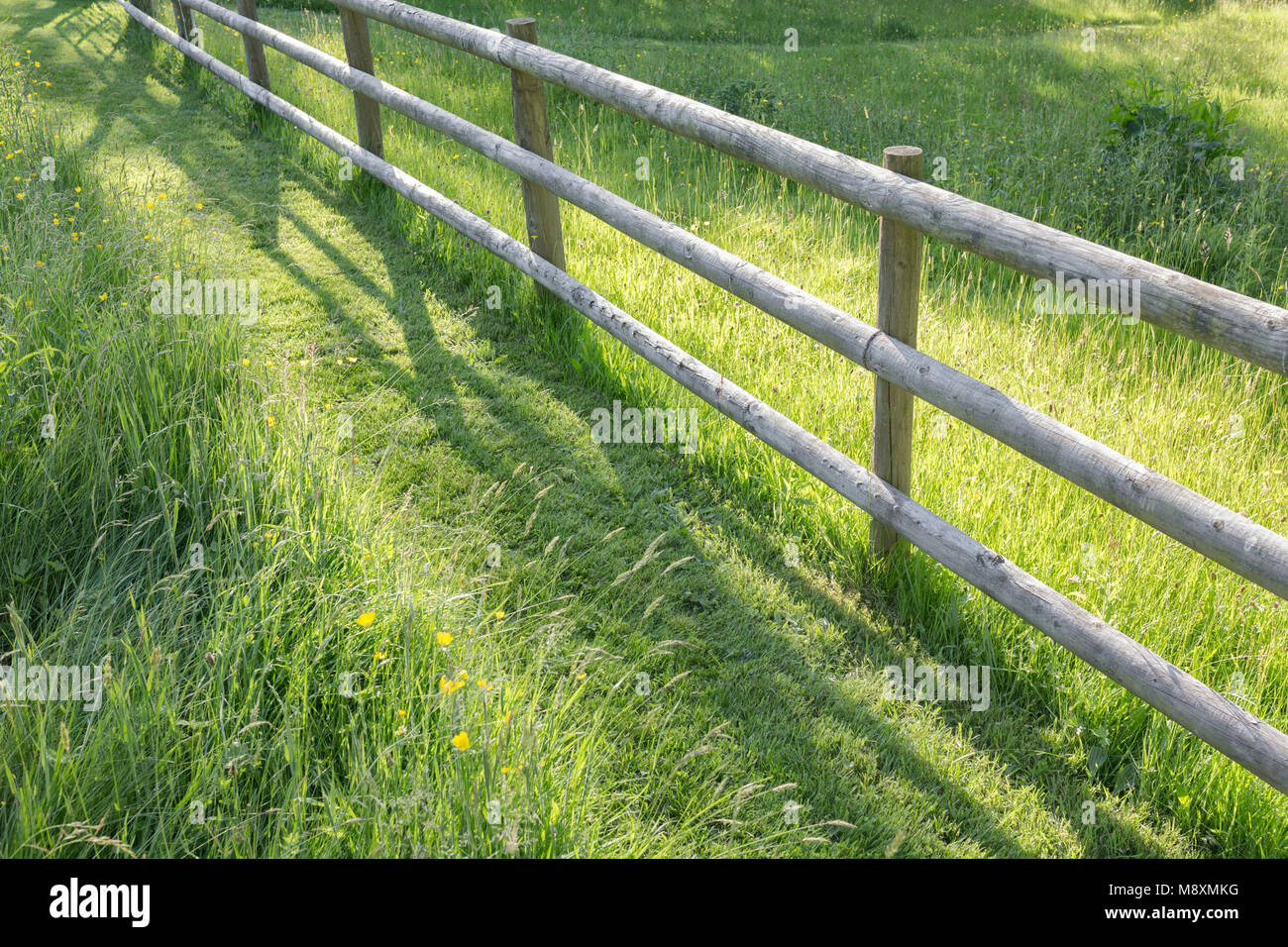 Wooden fence through a summer meadow. Stock Photo