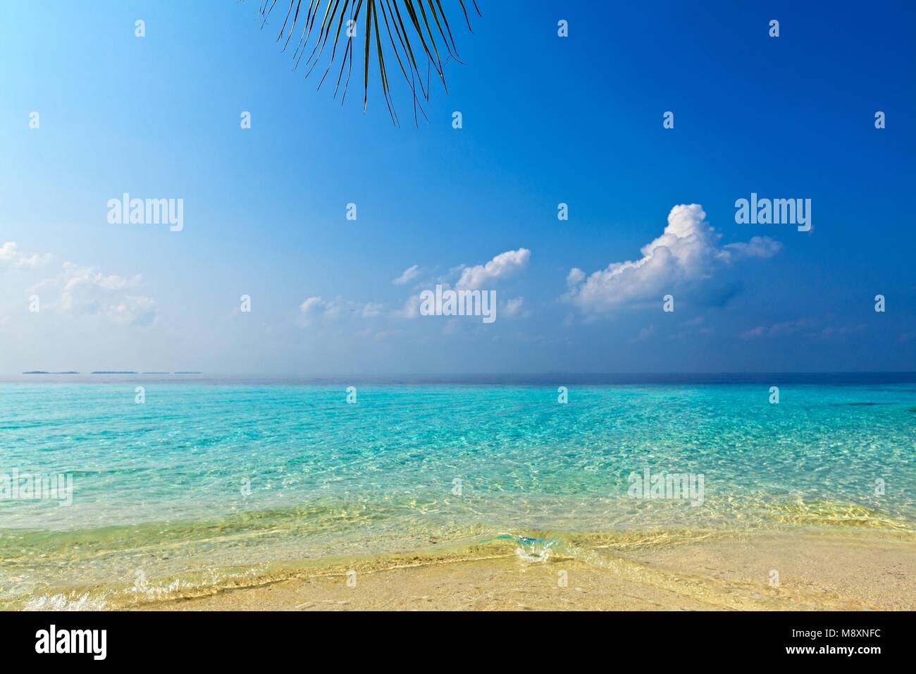 Beach for relax under the shade of a palm tree Stock Photo - Alamy