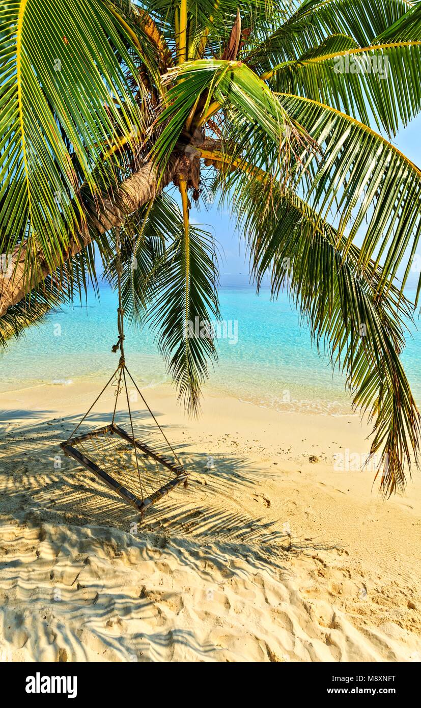 Beach place for relax under the shade of a palm tree Stock Photo - Alamy