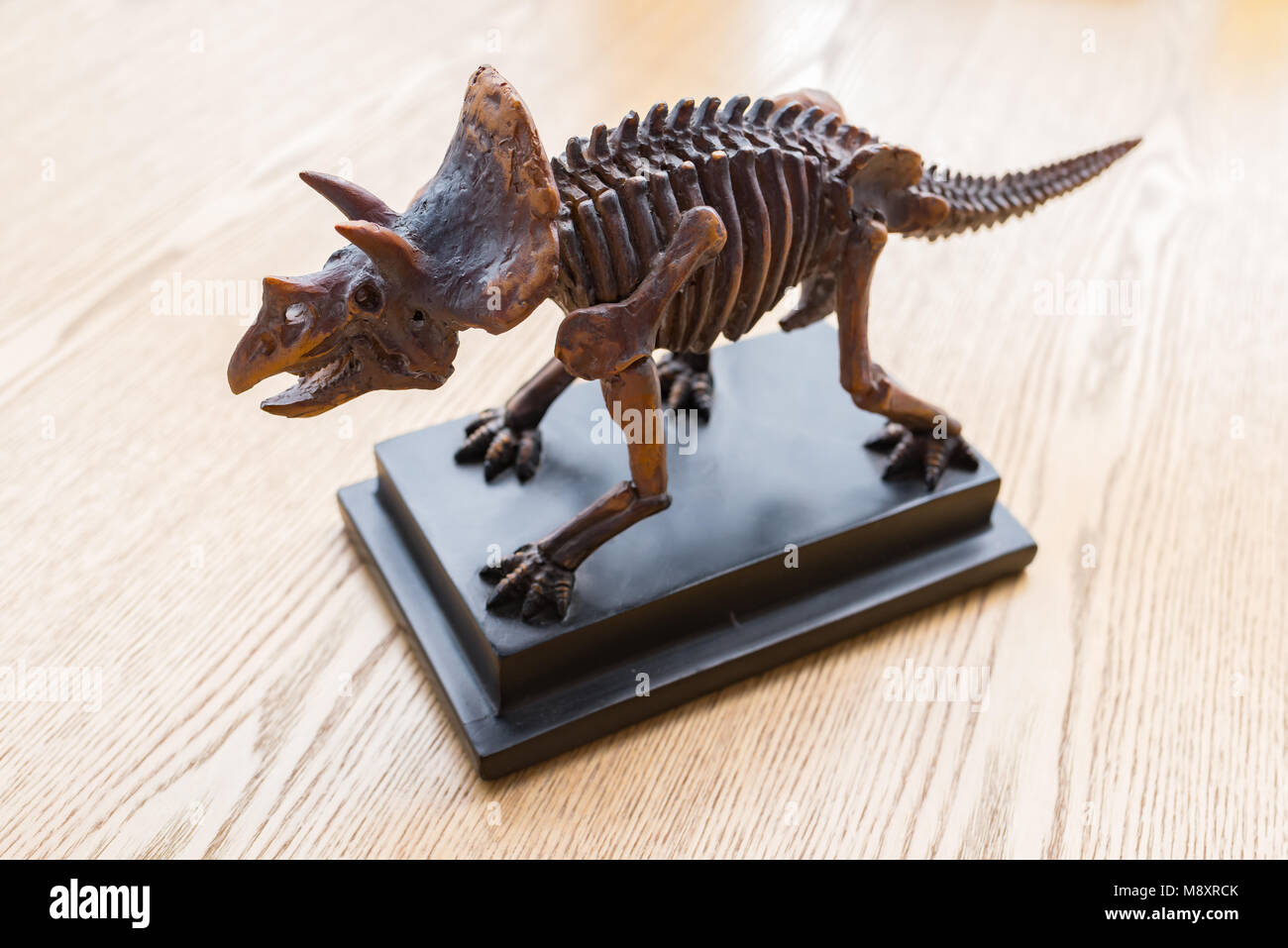 Dig A Triceratops Skeleton main image 0