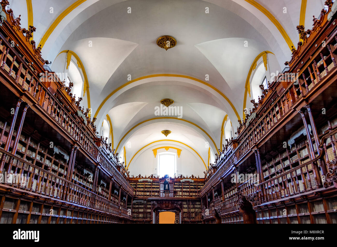 Biblioteca Palafoxiana in Puebla Mexico Stock Photo