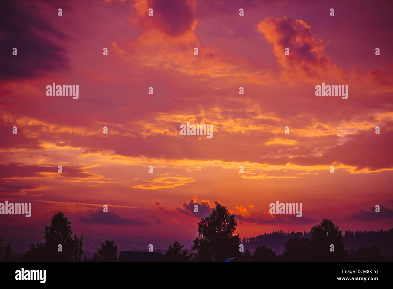 Sunset over forest trees silhouette on sky background Stock Photo - Alamy