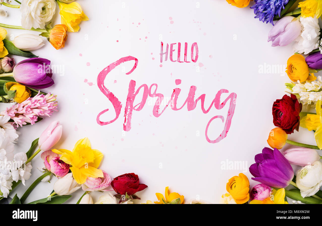 Easter and spring flat lay on a white background Stock Photo - Alamy