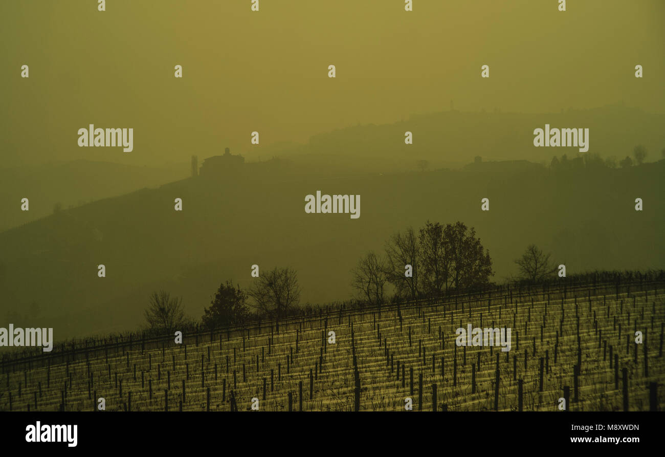 A foggy afternoon in the fields of Piemonte. Stock Photo