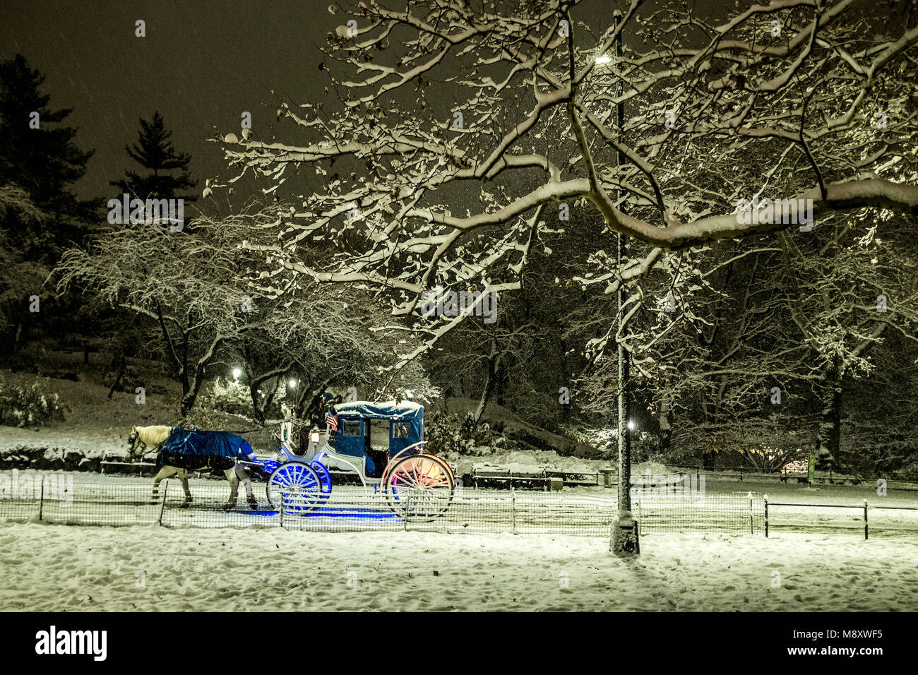 Carriage in Central Park during a snow storm Stock Photo - Alamy