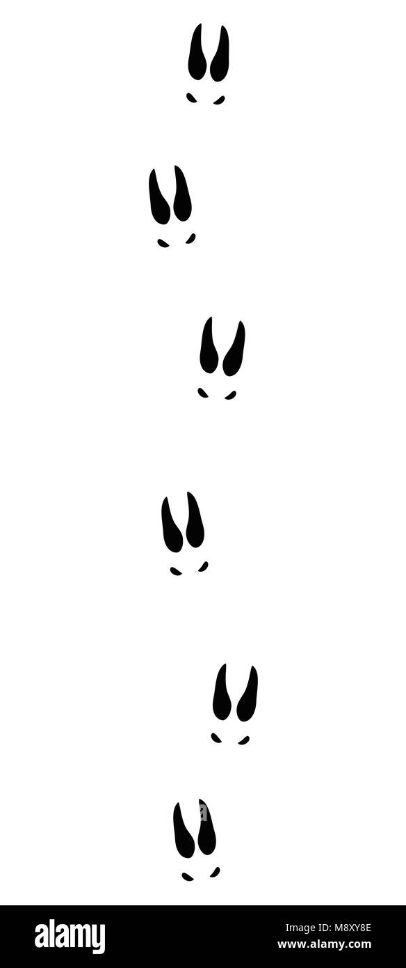 Chamois or goat tracks - black icon illustration on white background. Stock Photo