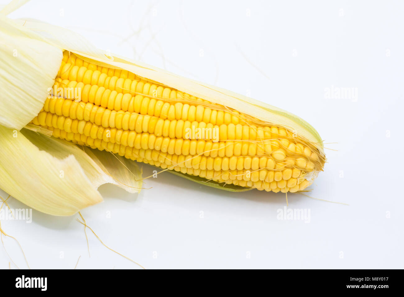 Corn Yellow Rectangle Yellow corn raw isolated on white background, front view from the top ...