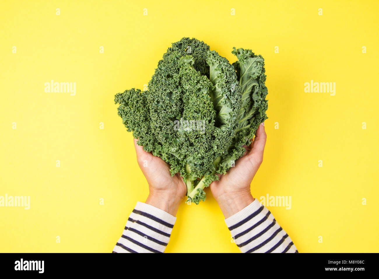 Woman hand holding a bunch of kale leaves over yellow background Stock Photo