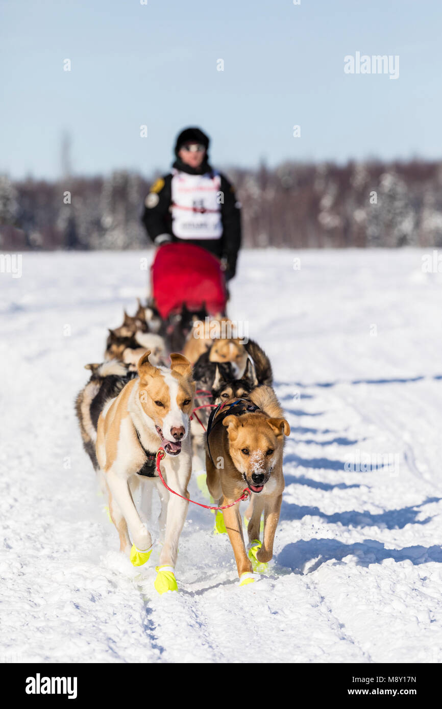 Matt hall hires stock photography and images Alamy