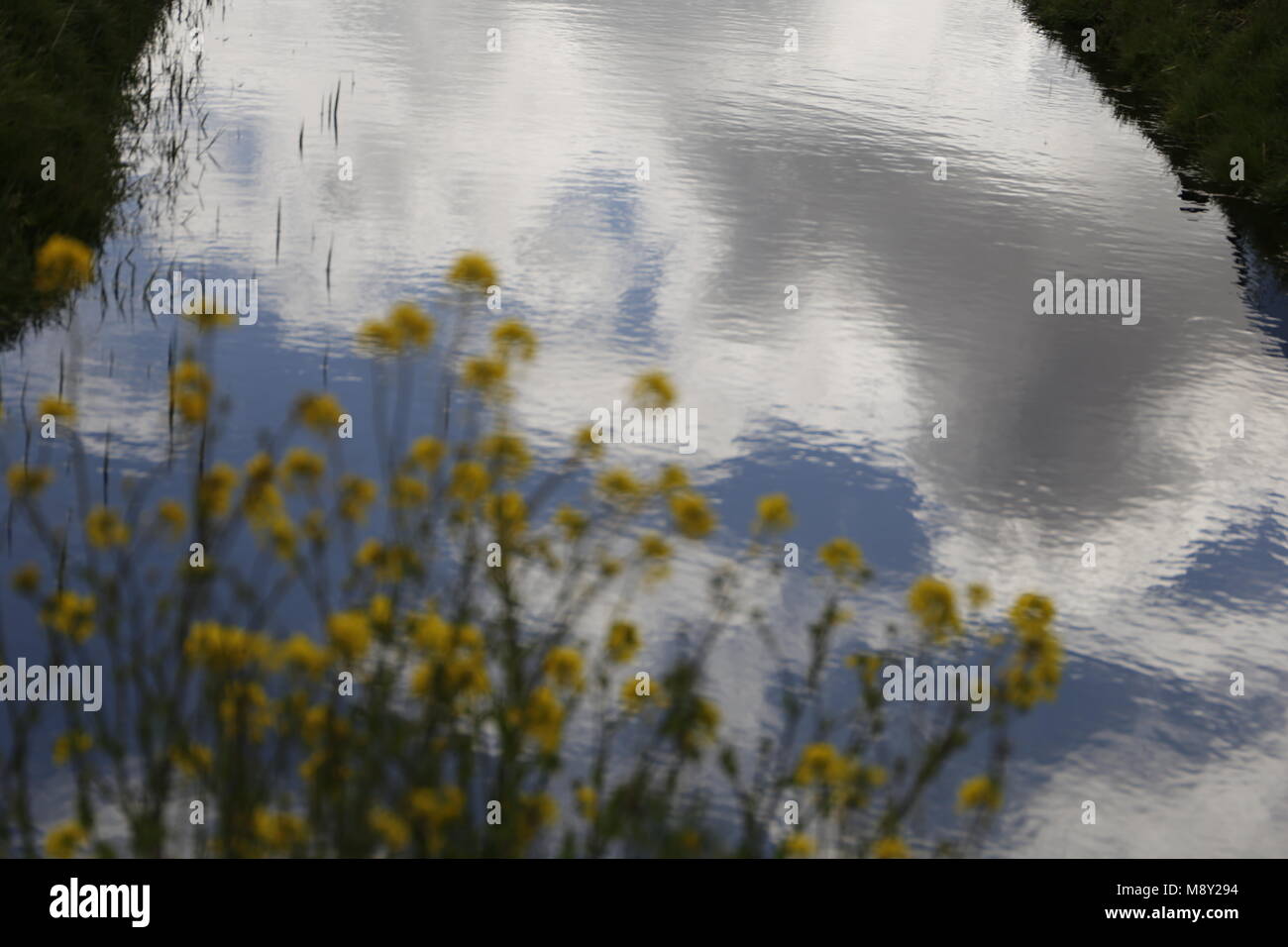reflection of the sky in the water Stock Photo - Alamy