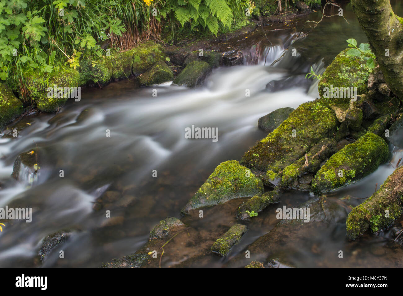 Milky white colour hires stock photography and images Alamy