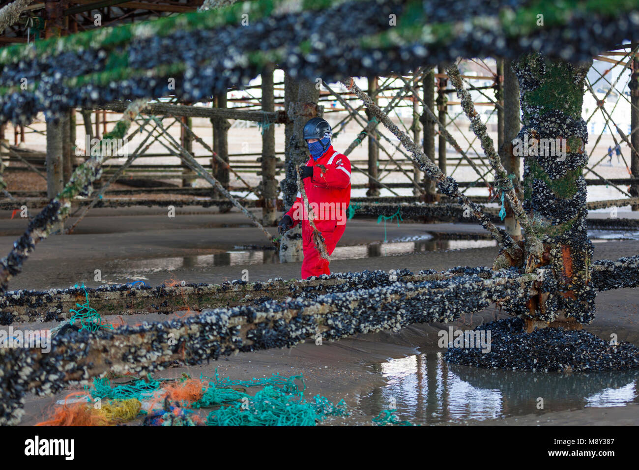 Environmental pollution of the hastings pier, a man is seen climbing the pillars of the pier in order to clean all traces of rope and plastics, uk Stock Photo
