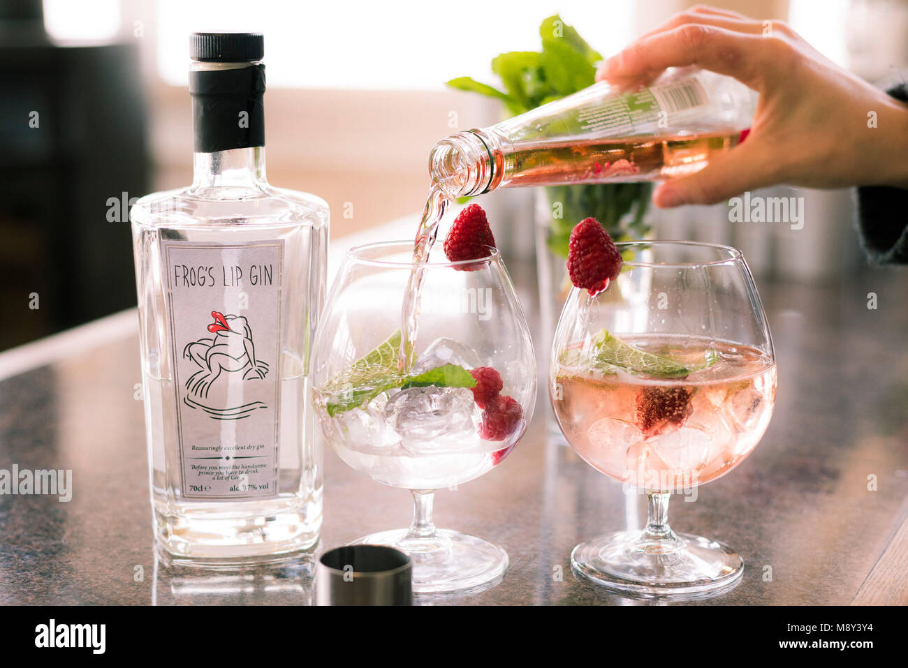Gin and tonic drinks being prepared Stock Photo Alamy