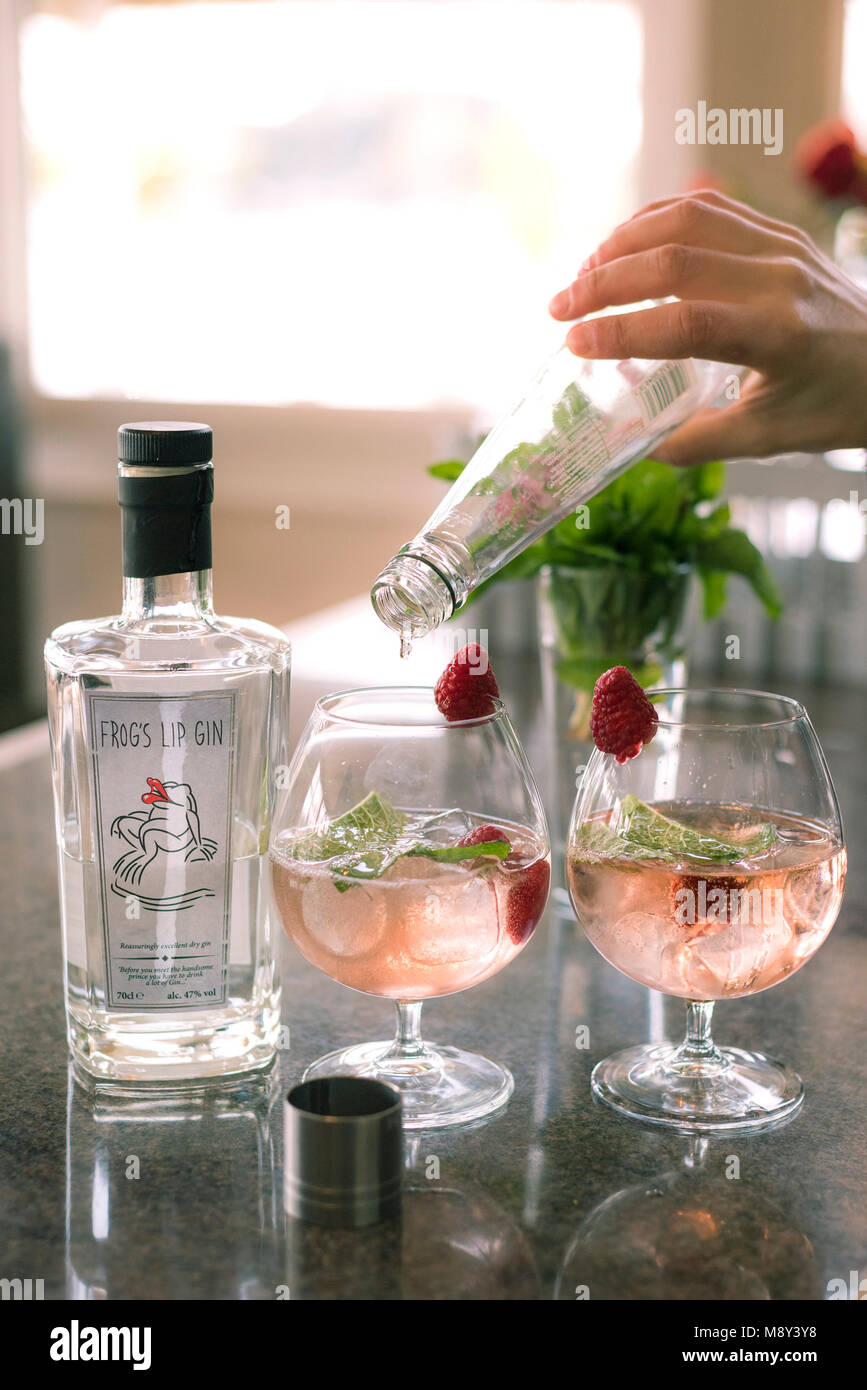 Gin and tonic drinks being prepared. Stock Photo