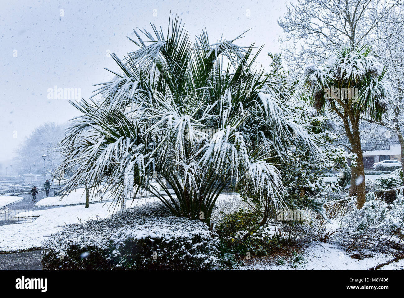 Snow fall in Trenance Park in Newquay Cornwall Stock Photo Alamy