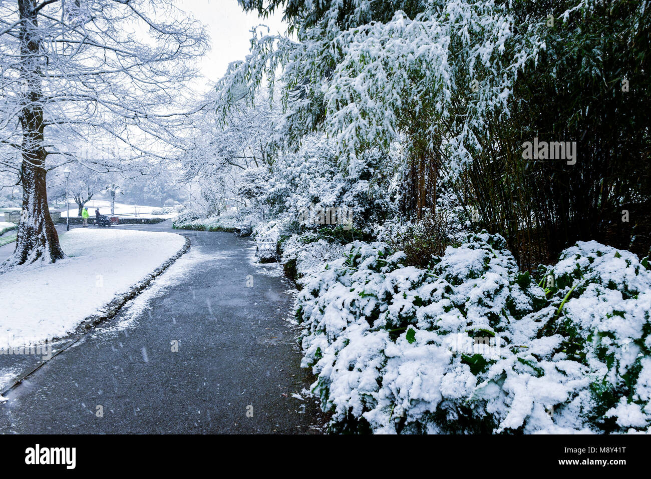 Snow falling in Trenance Gardens in Newquay Cornwall. Stock Photo